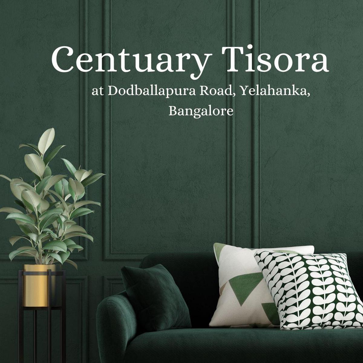 Century Tisora